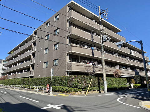 コスモ学芸大学